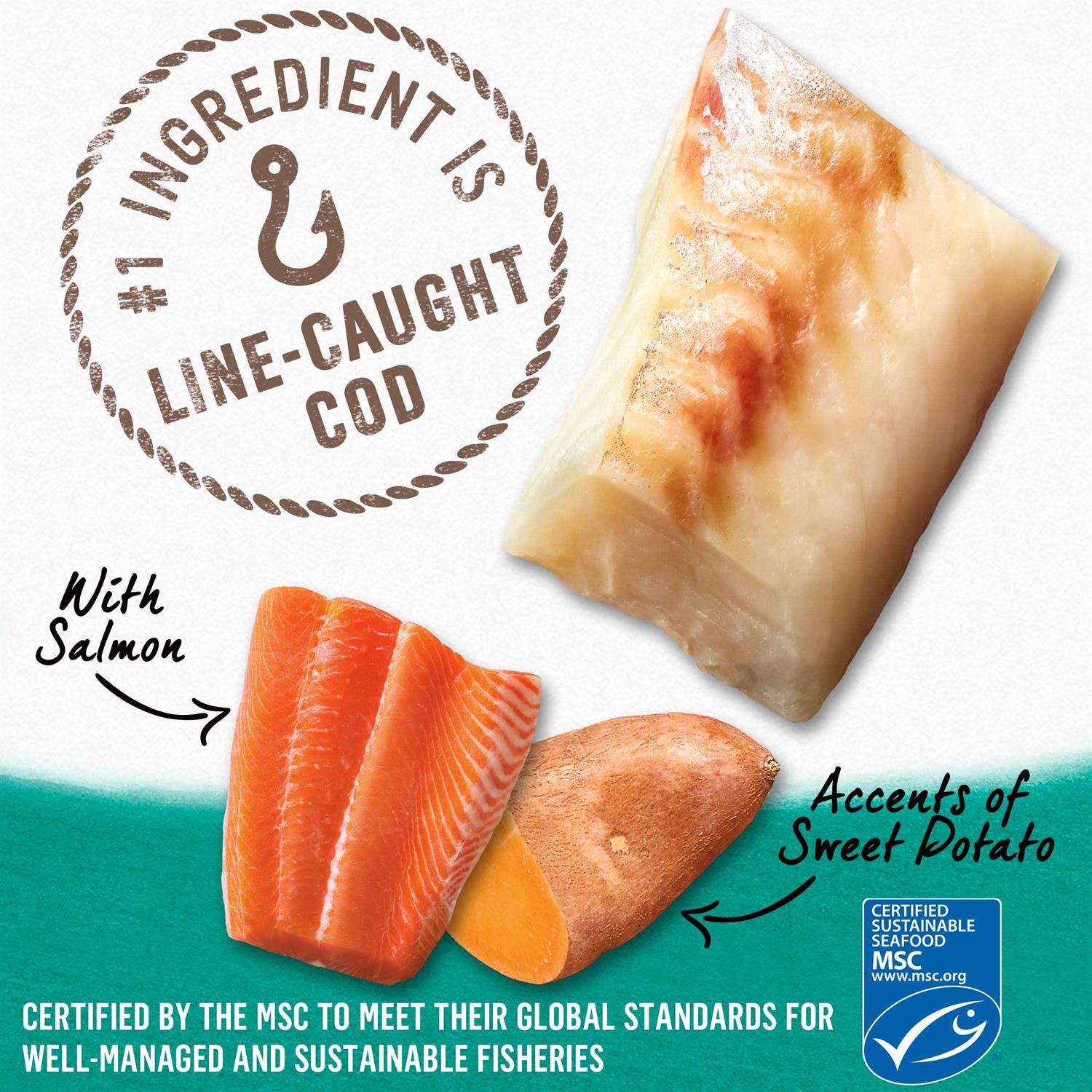 Alaskan Cod Salmon & Sweet Potato Wet Dog Food Can O311512