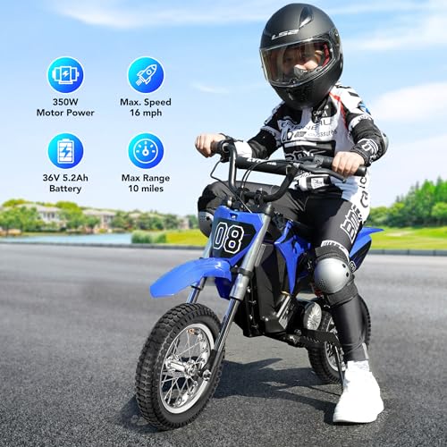 Kids Electric Dirt Bike 36V 350W 3-Speed M895