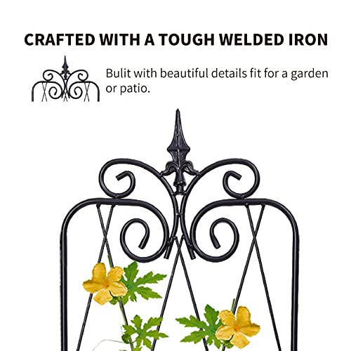 2 Pack 71" H x 15" W Black Metal Garden Trellis Z38953