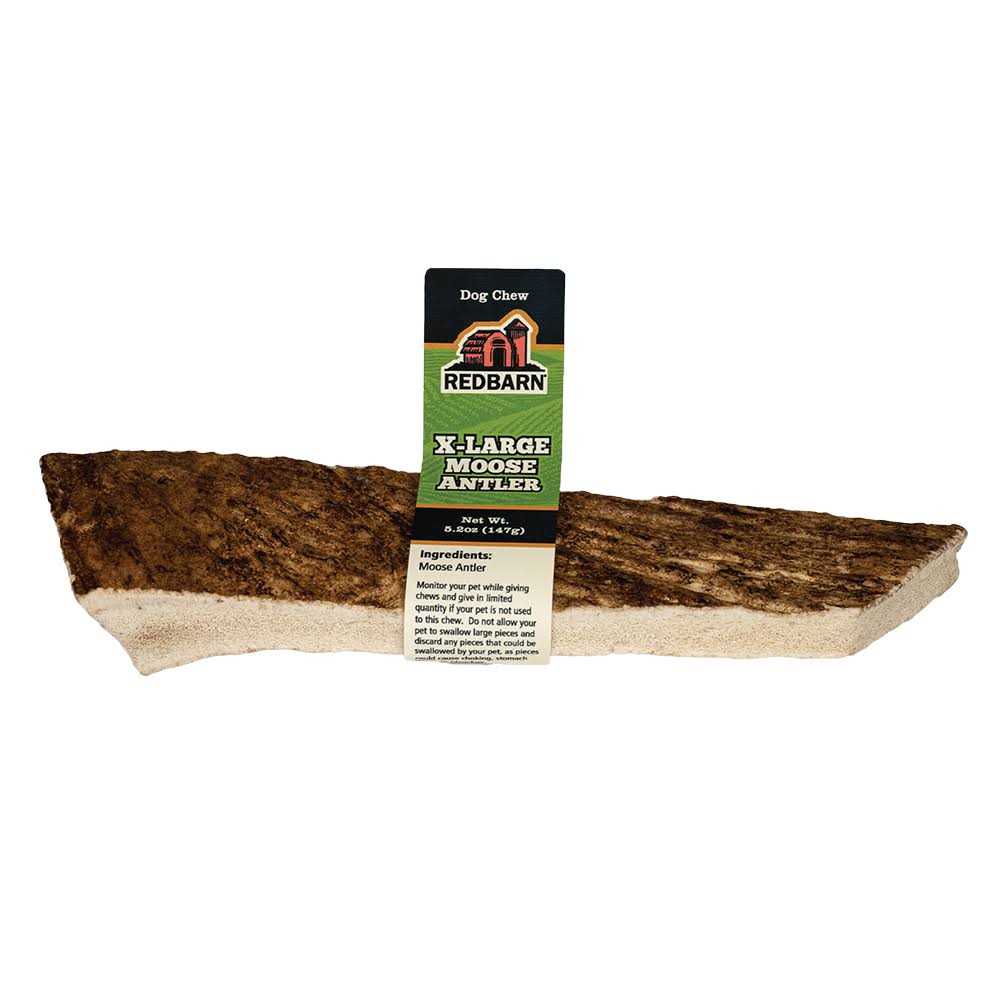 Moose Antler Dog Chew I892
