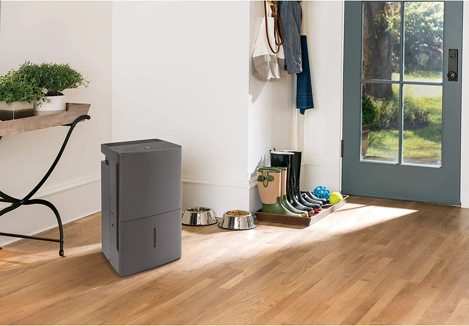 Dehumidifier with Built in Pump D1239