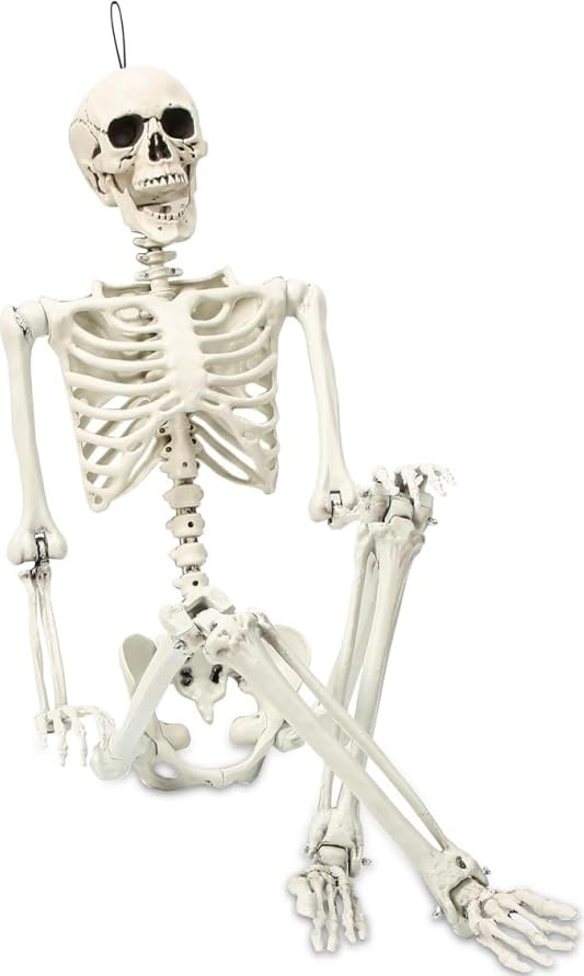 5.4 ft Posable Halloween Skeleton with Movable Joints Q98286