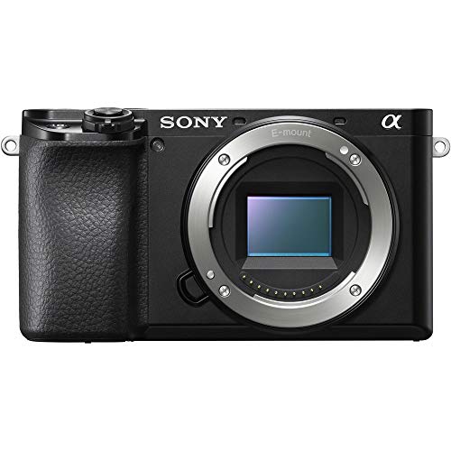Mirrorless Camera L868