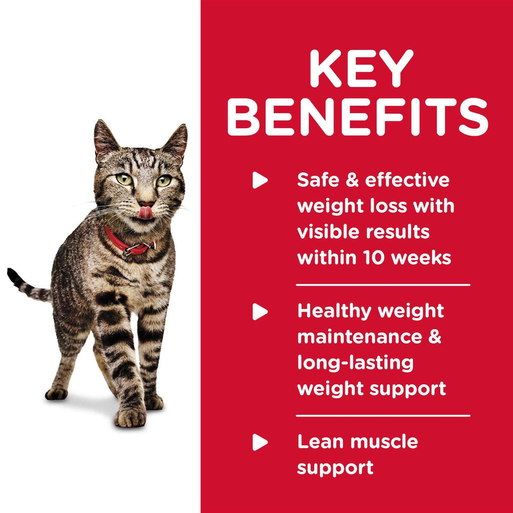 Adult Perfect Weight Roasted Vegetable & Chicken Medley Cat Food R10407