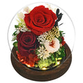 Rose in Glass Dome with LED Light K52292