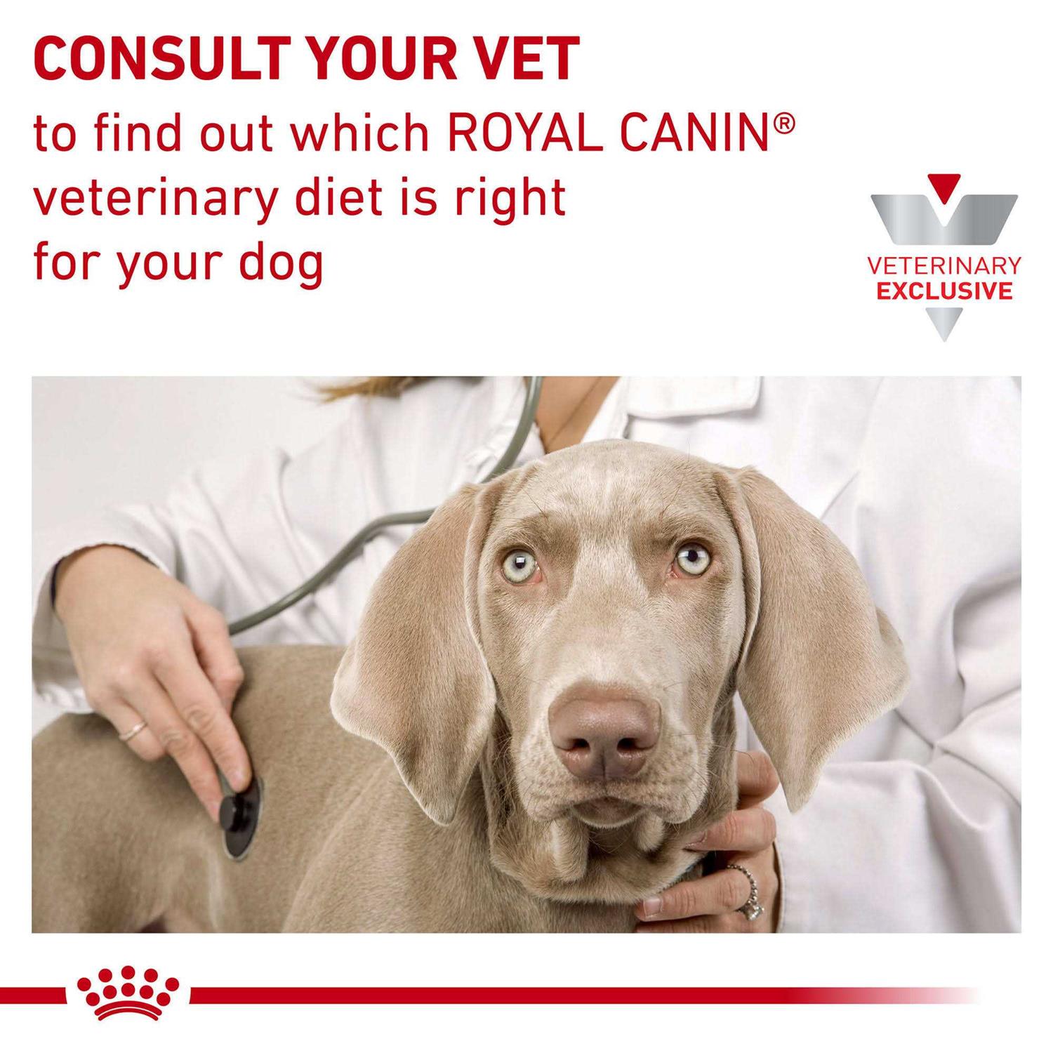 Veterinary Diet Gastrointestinal Fiber Response Dry Dog Food Q9246