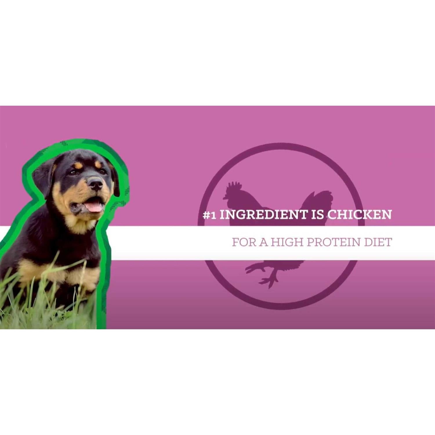 Large Breed Puppy Chicken & Brown Rice T258402