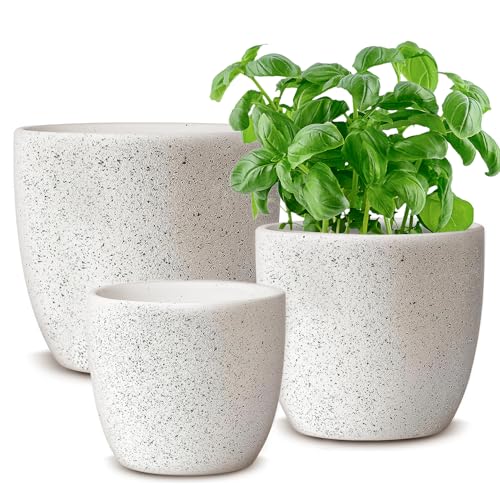 Ceramic Plant Pots Set of 3, Speckled White F104