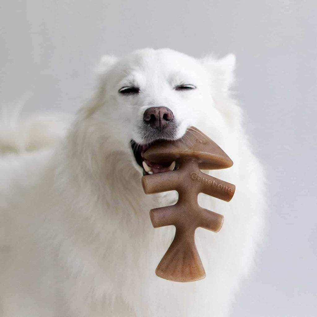 Dog Chew I636687