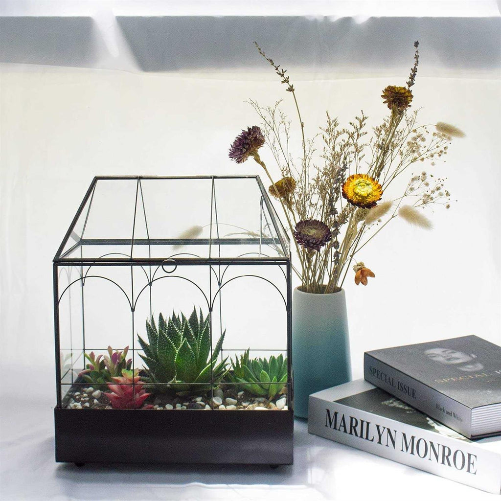 Large Tall Glass Plant Terrarium with Lip and Tray A691
