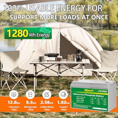 12V 100Ah LiFePO4 Battery with 100A BMS N608