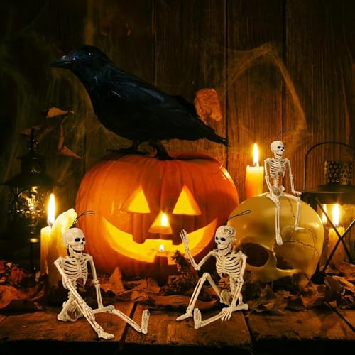 5.4 ft Posable Halloween Skeleton with Movable Joints Q98286