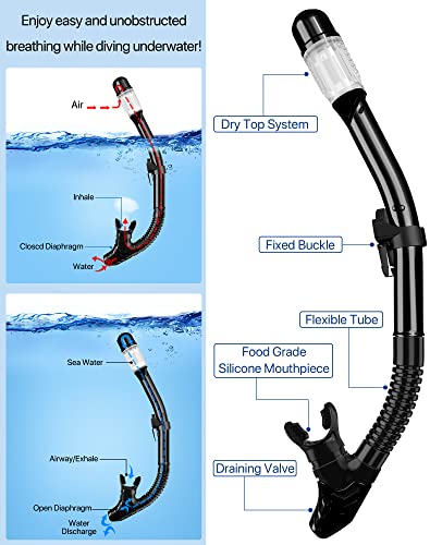 4 in 1 Snorkel Set with Panoramic View Diving Mask, Dry Top Snorkel, Fins and Travel Bag E8015