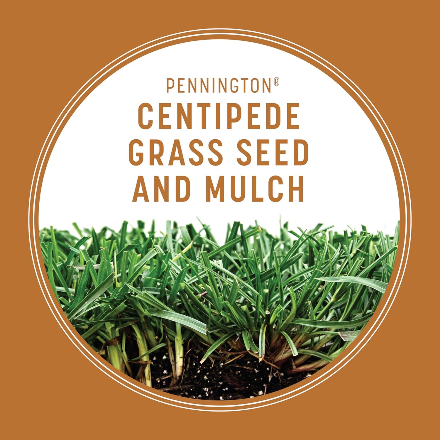 Centipede Grass Seed & Mulch 5 LB T63812