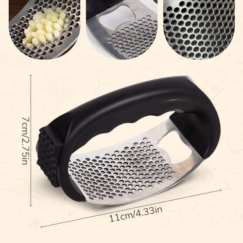 Stainless Steel Garlic Presser Z64081