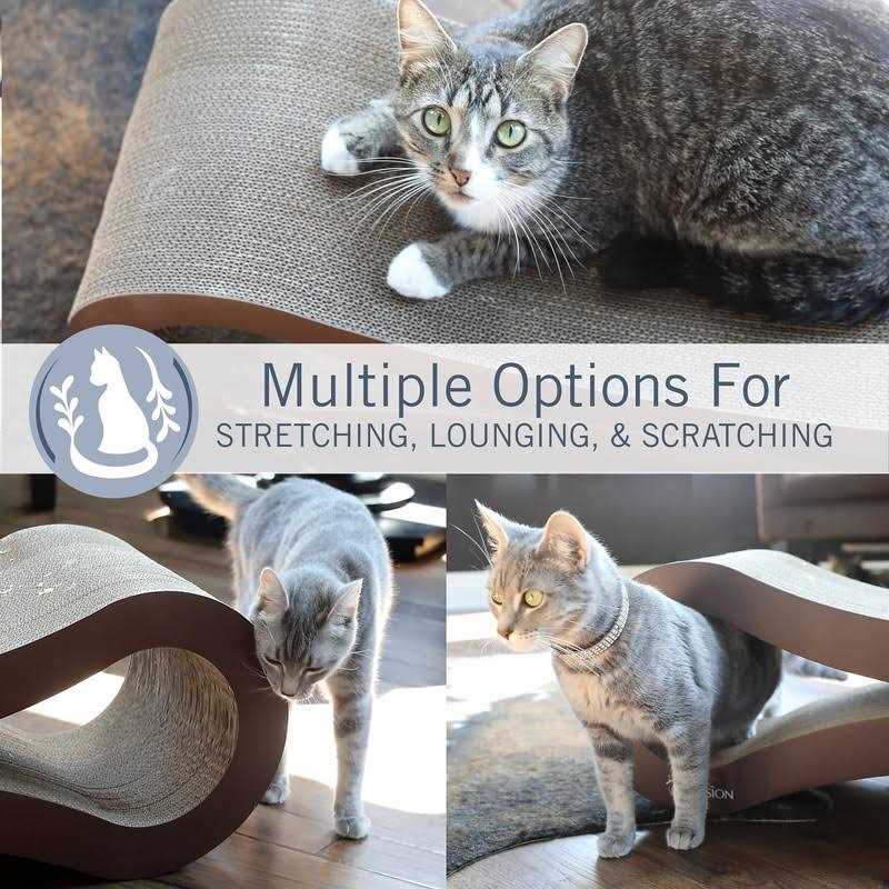 Cat Scratcher Lounge O111541