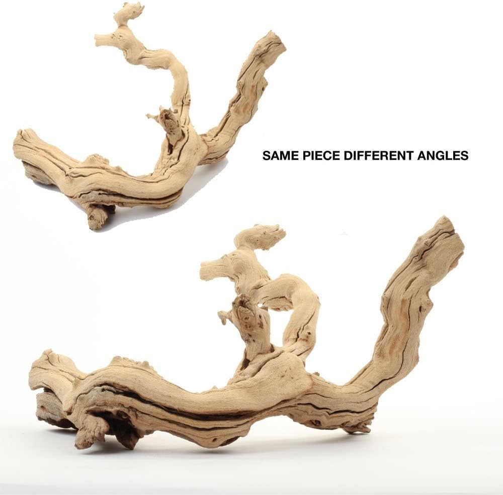 Natural Grapewood Vine Branch, 6-Inch Z345