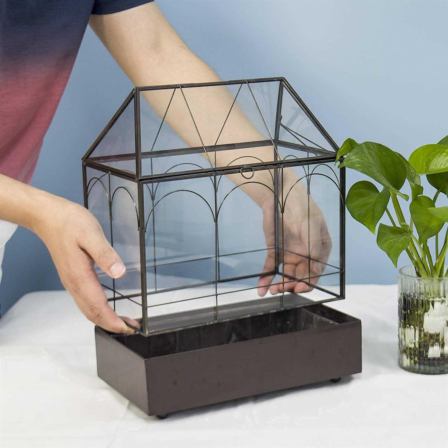 Large Tall Glass Plant Terrarium with Lip and Tray A691