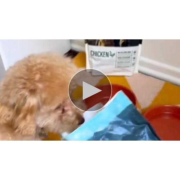 Freeze Dried Raw Complete Meal for Adult Dogs J566391