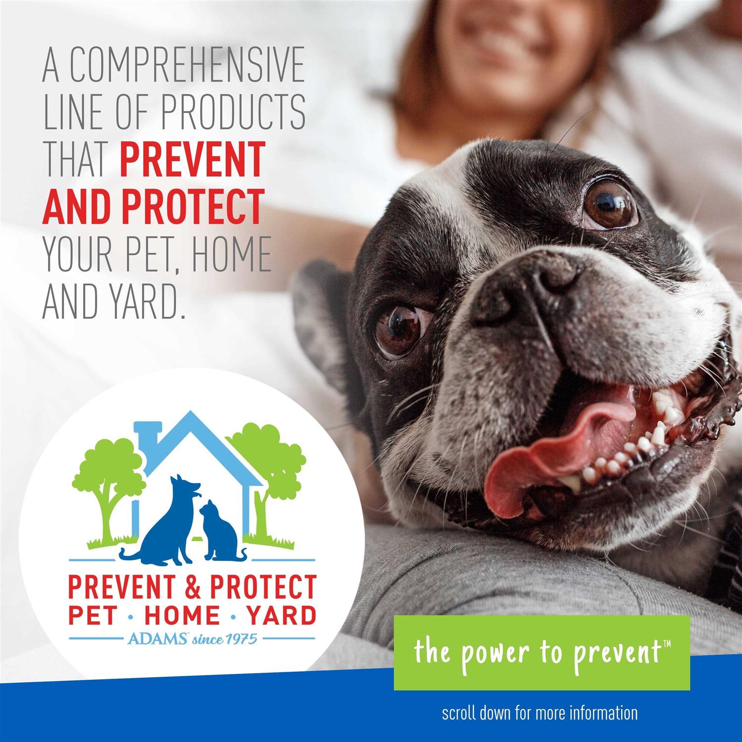 Flea Tick Shampoo O998847