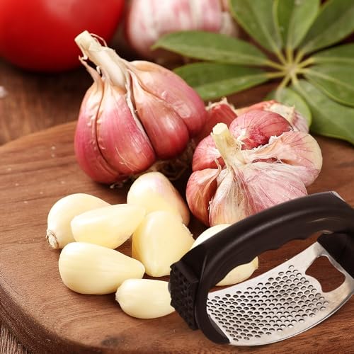 Stainless Steel Garlic Presser Z64081