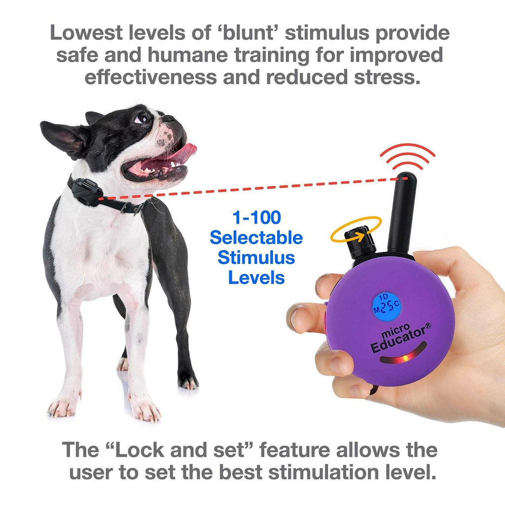 1/3 Mile Remote Dog Training Collar V57566