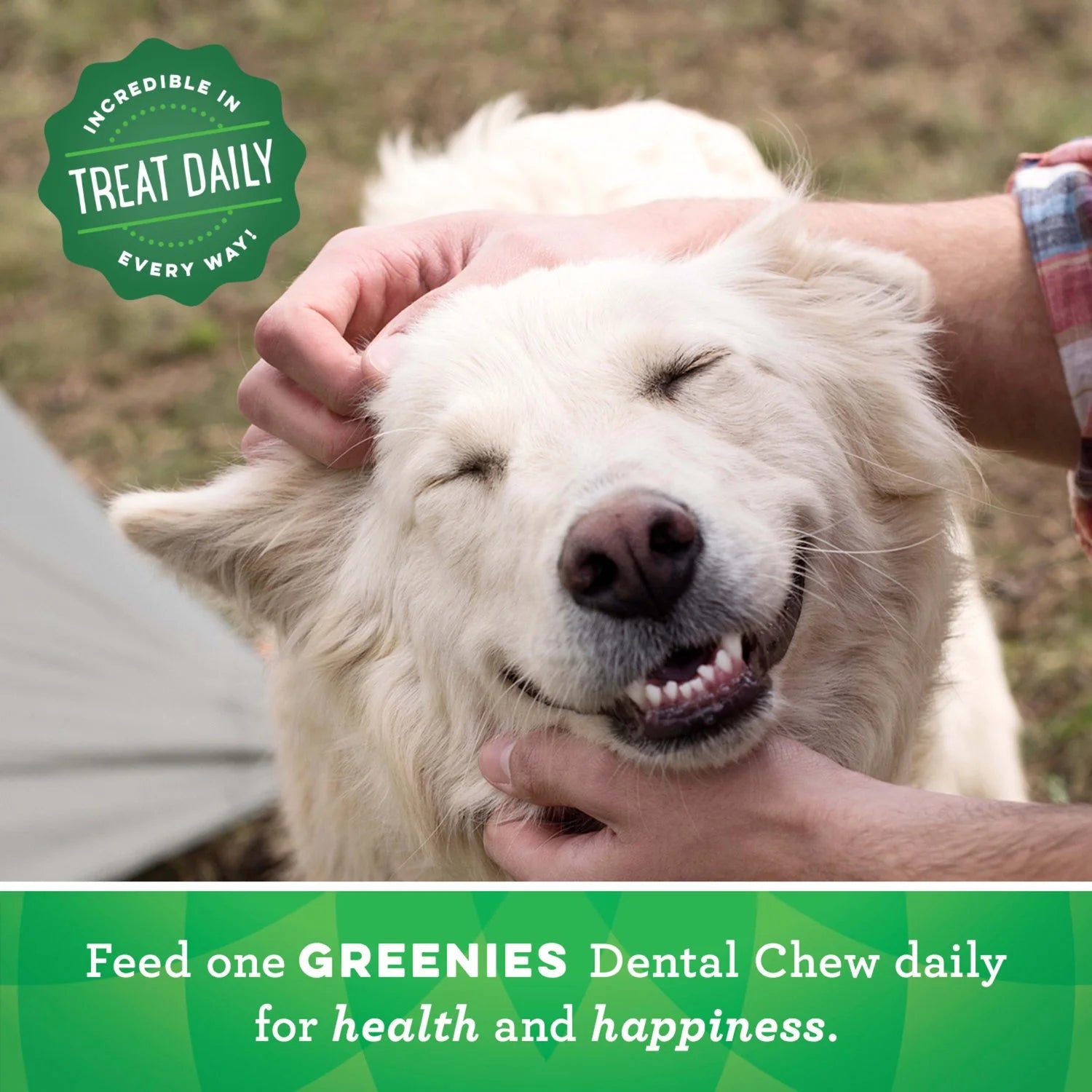 18 oz Pouch (4 Pack) Dental Treats for Dogs G75939