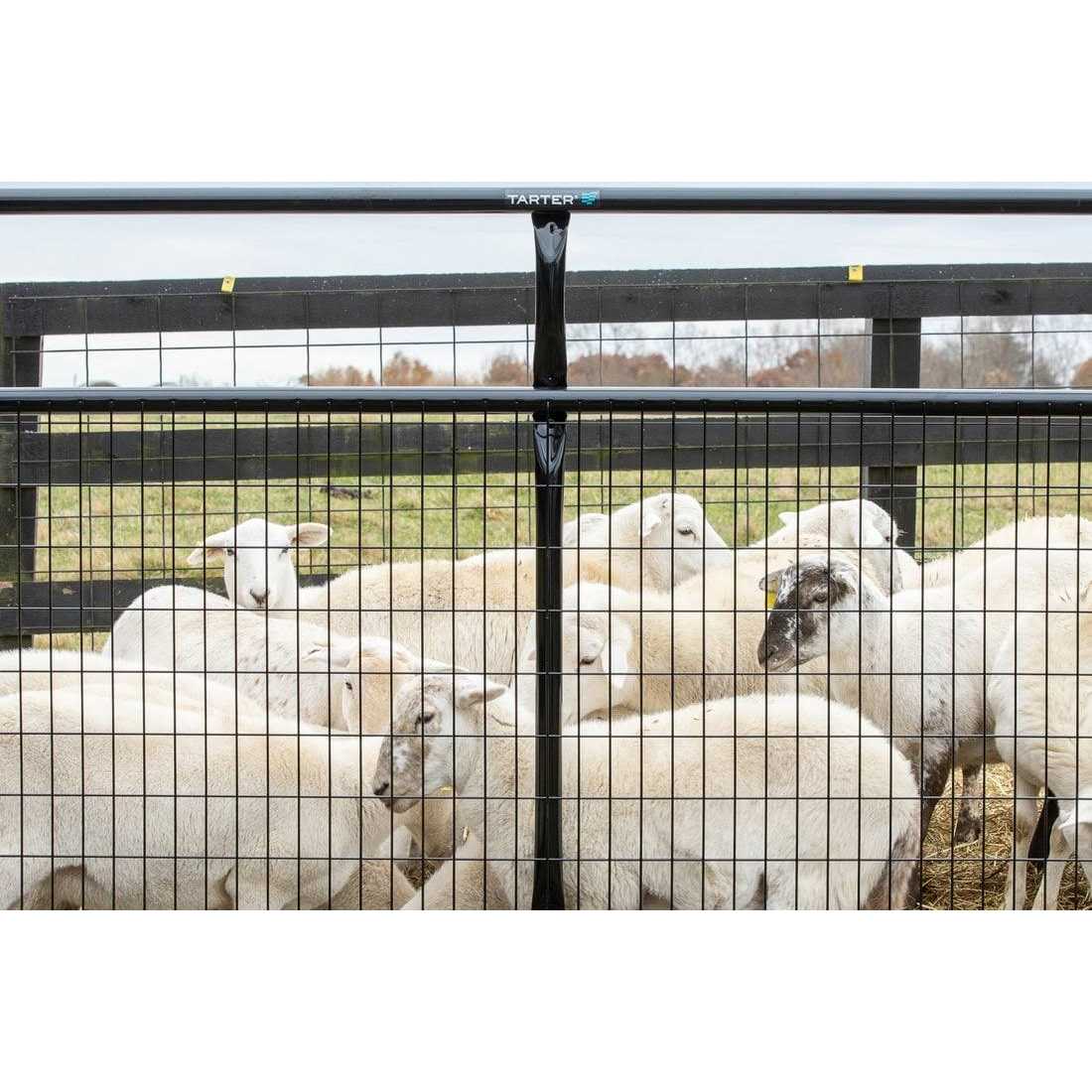 10 ft 2 x 4 Wire Filled Gate U5498