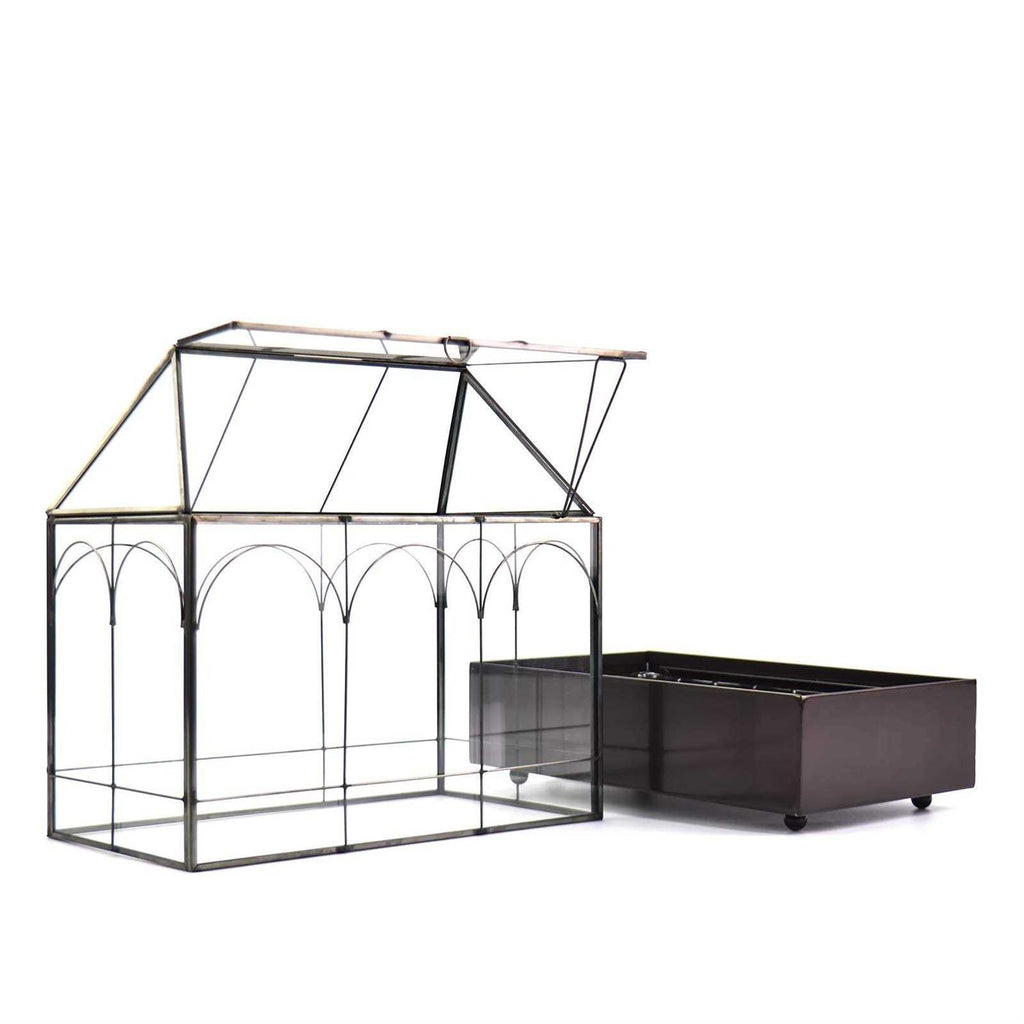 Large Tall Glass Plant Terrarium with Lip and Tray A691