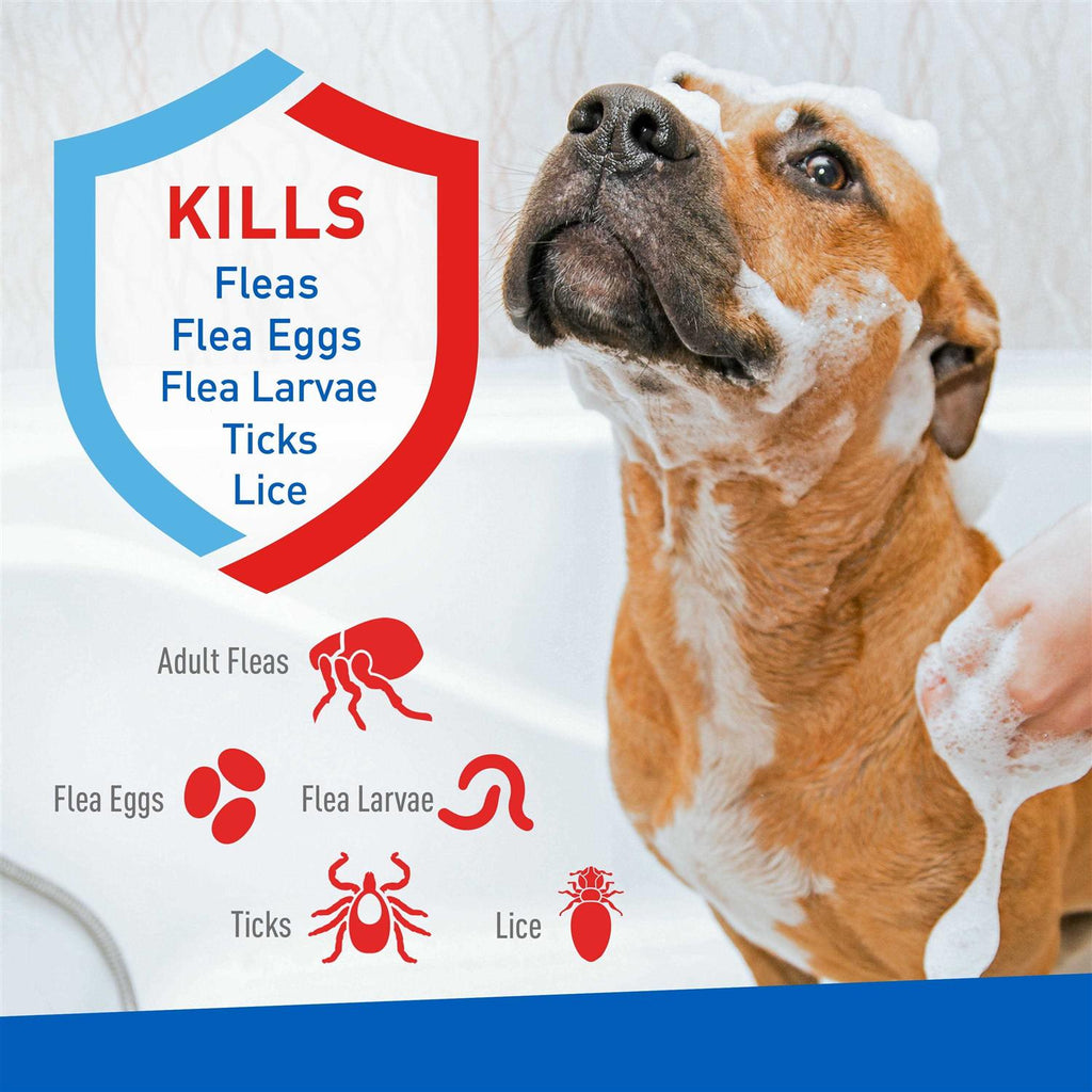 Flea Tick Shampoo O998847