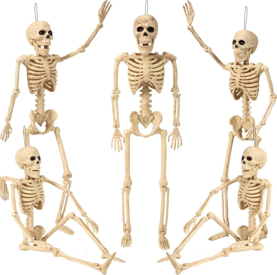 5.4 ft Posable Halloween Skeleton with Movable Joints Q98286