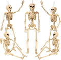 5.4 ft Posable Halloween Skeleton with Movable Joints Q98286