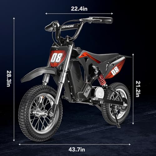 Kids Electric Dirt Bike 36V 350W 3-Speed M895