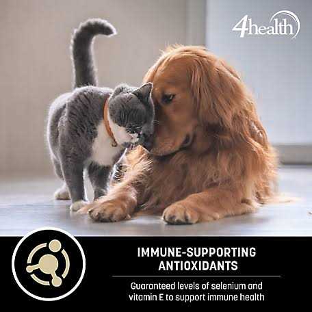 Adult Lamb and Rice Formula Dry Dog Food A477178