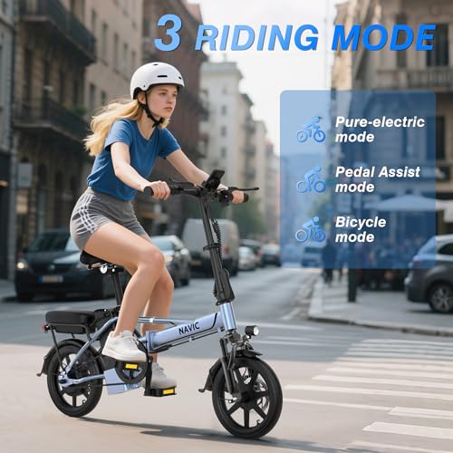 14'' Electric Folding Bike with Removable Battery L276