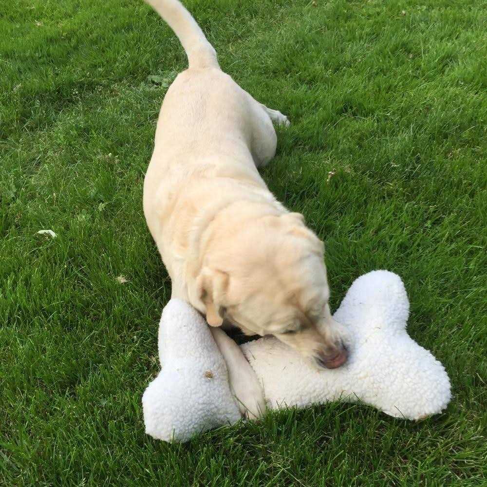 Pet Bone Pillow Toy U83200