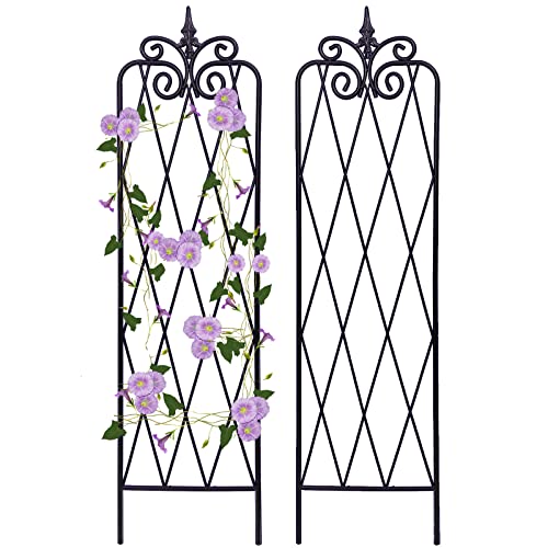 2 Pack 71" H x 15" W Black Metal Garden Trellis Z38953