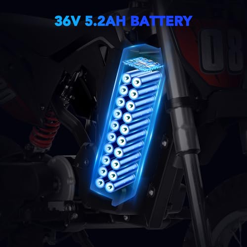 Kids Electric Dirt Bike 36V 350W 3-Speed M895