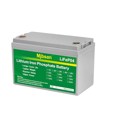 12V 100Ah LiFePO4 Battery with 100A BMS N608