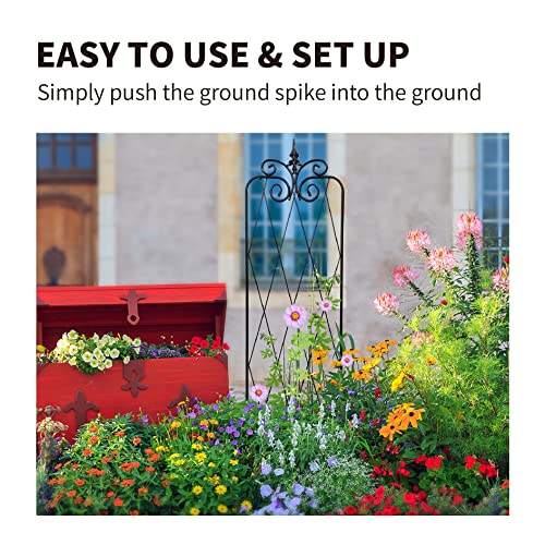 2 Pack 71" H x 15" W Black Metal Garden Trellis Z38953
