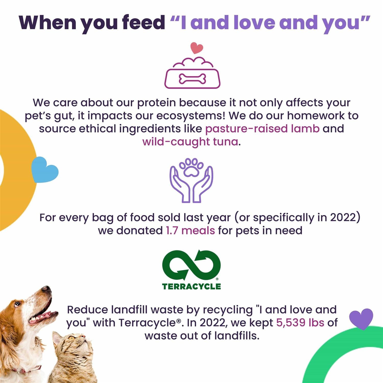 Tummy Formula Wet Cat Food with Tuna and Pumpkin O13198