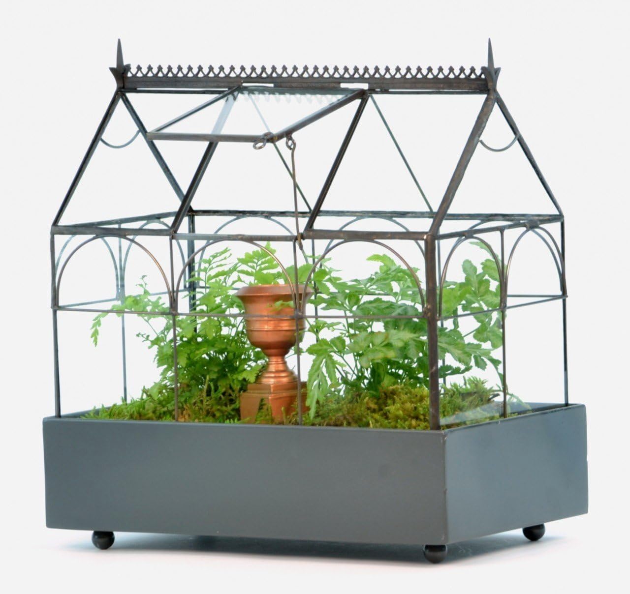 Glass Terrarium Planter O438828