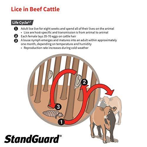 152 fl oz Pour-On Insecticide for Cattle M62946