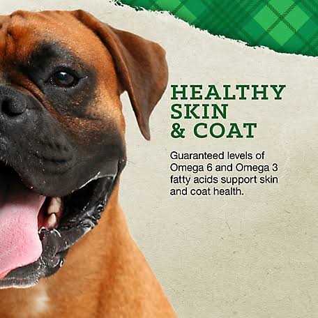 Large Breed Puppy Chicken & Brown Rice T258402