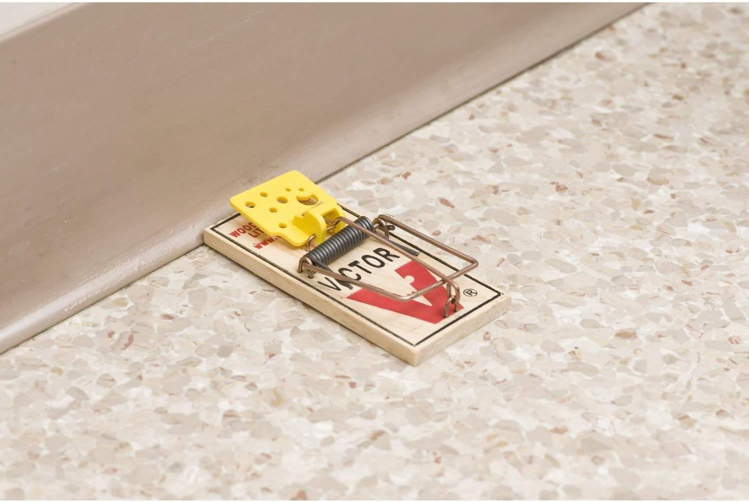 4 Pack Wooden Mouse Trap P585