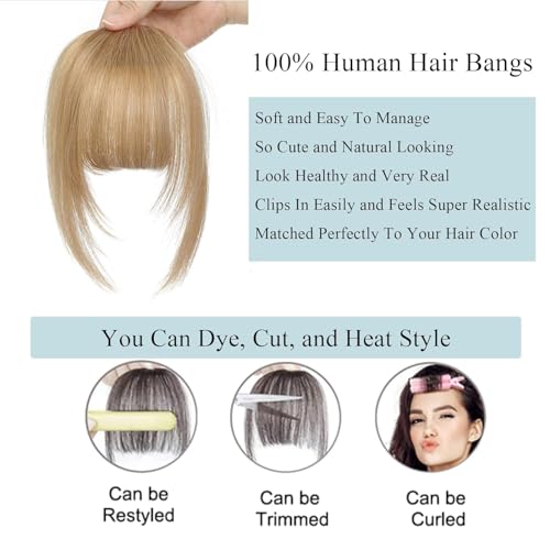 Ash Blonde Clip in Bangs 100% Human Hair Extensions P29294