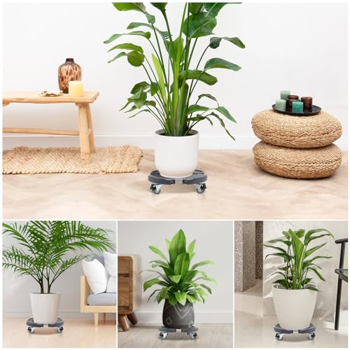Heavy Duty Rolling Plant Stand with Wheels 2 Pack Y240089