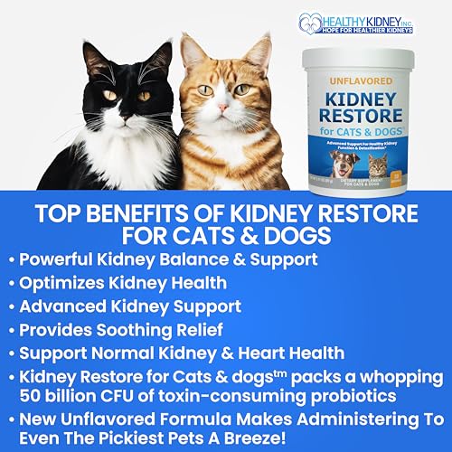 Unflavored Pet Kidney Health Supplement V50871