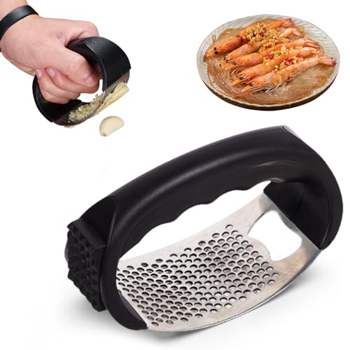 Stainless Steel Garlic Presser Z64081