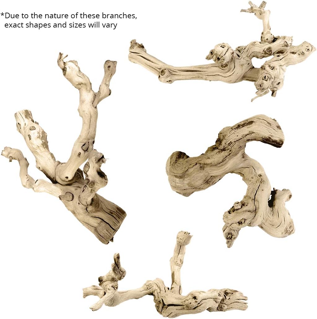 Natural Grapewood Vine Branch, 6-Inch Z345